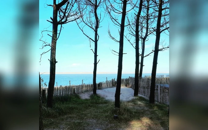 Terrain à partir de 1300m² à Pyla-sur-Mer à La Teste-de-Buch (33115)