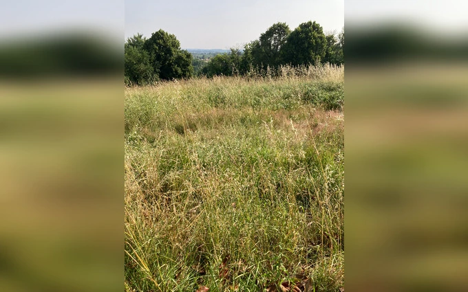 Terrain à partir de 1403m² à La Roche-Chalais à La Roche-Chalais (24490)