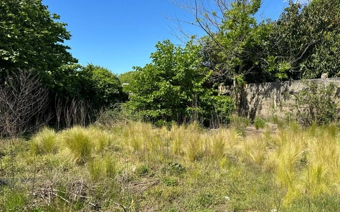 Terrain à partir de 600m² à Le Teich à Le Teich (33470)