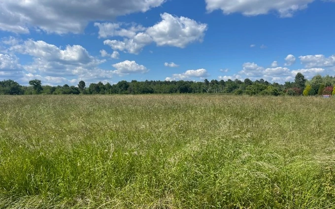 Terrain à partir de 1605m² à Pompéjac à Pompéjac