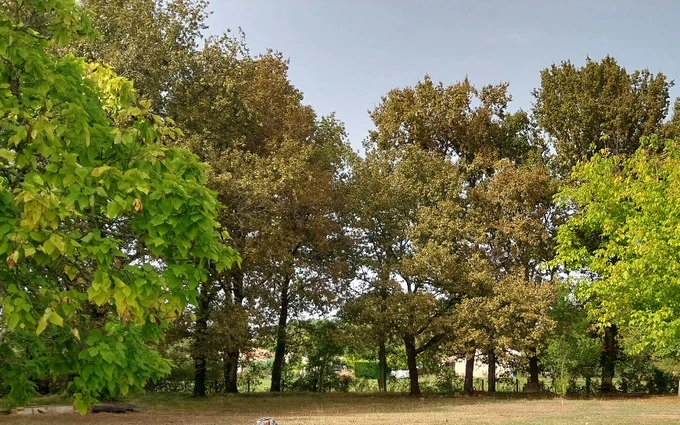 Terrain à partir de 500m² à Labarde à Barde (33460)
