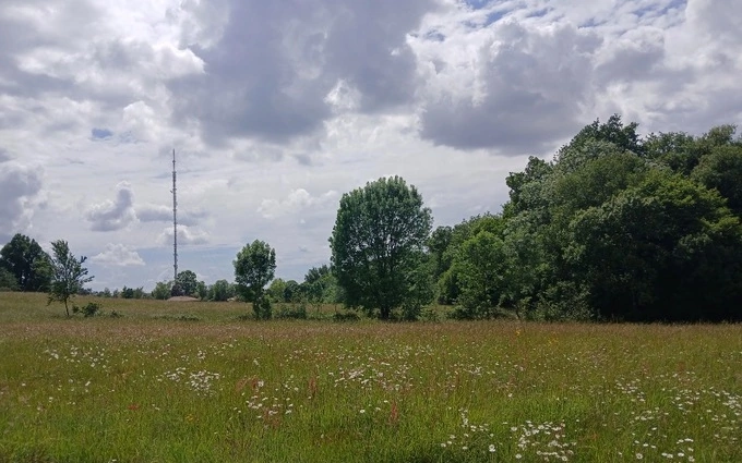 Terrain à partir de 700m² à Bouliac à Bouliac (33270)