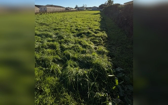 Terrain à partir de 500m² à Saint-Sulpice-et-Cameyrac à Saint-Sulpice-et-Cameyrac (33450)