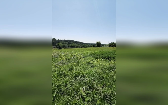 Terrain à partir de 4357m² à Montagnac-d'Auberoche à Montagnac-d'Auberoche (24210)