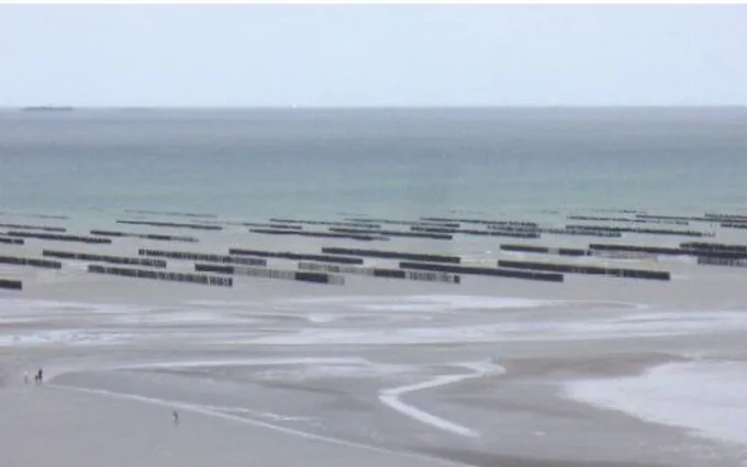 Clos ronan à Hillion