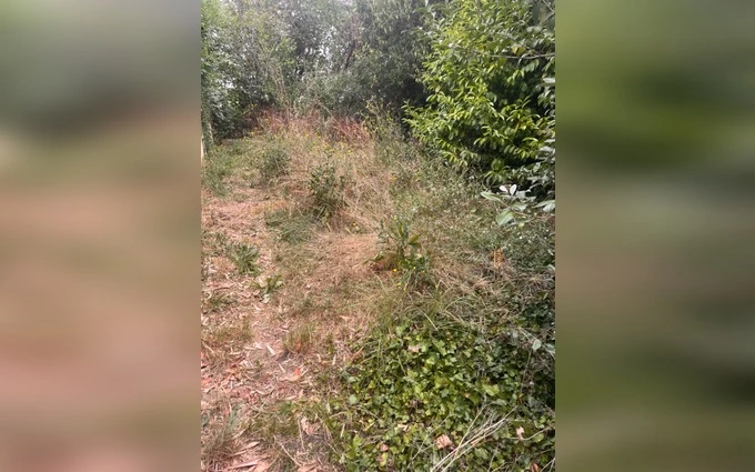 Terrain à partir de 400m² à Loupiac à Loupiac