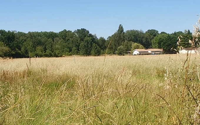 Terrain à partir de 600m² à Saint-Christoly-de-Blaye à Saint-Christoly-de-Blaye (33920)