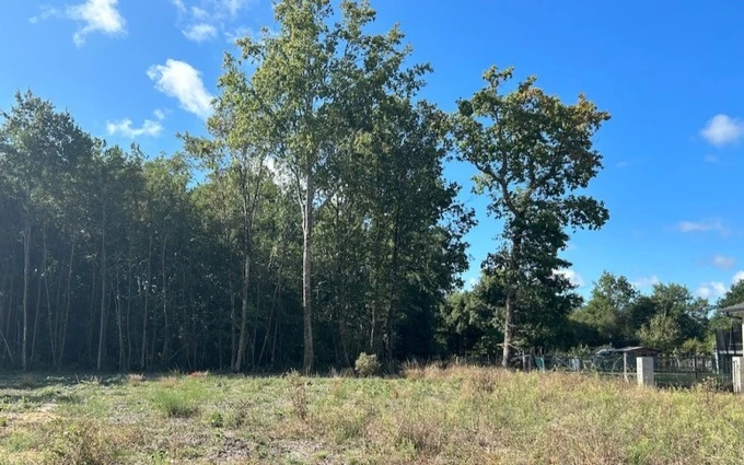 Terrain à partir de 300m² à Belin-Béliet à Belin-Béliet (33830)