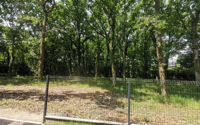 Terrain à partir de 350m² à Audenge à Audenge (33980)