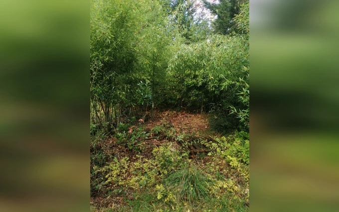Terrain à partir de 900m² à Saint-Aubin-de-Médoc à Saint-Aubin-de-Médoc (33160)