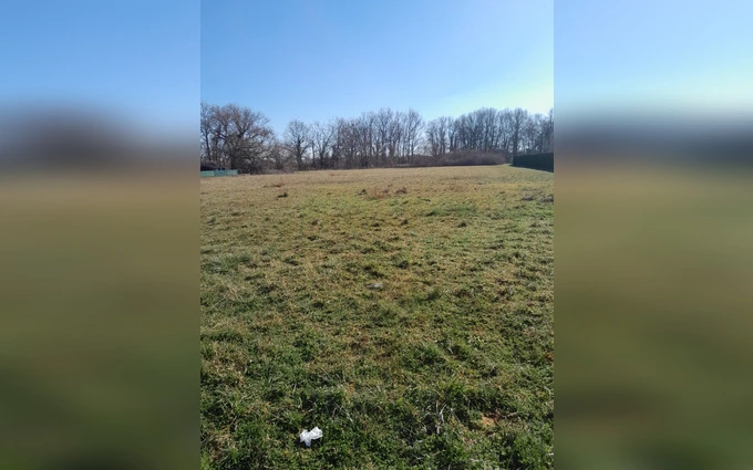 Terrain à partir de 480m² à Sanguinet à Sanguinet
