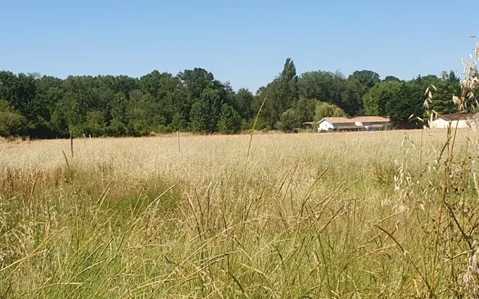 Terrain à partir de 600m² à Saint-Christoly-de-Blaye à Saint-Christoly-de-Blaye (33920)