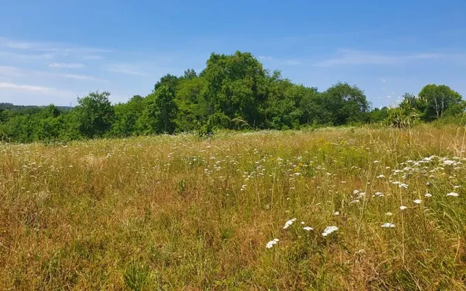 Terrain à partir de 1040m² à Saint-Laurent-d'Arce à Saint-Laurent-d'Arce (33240)