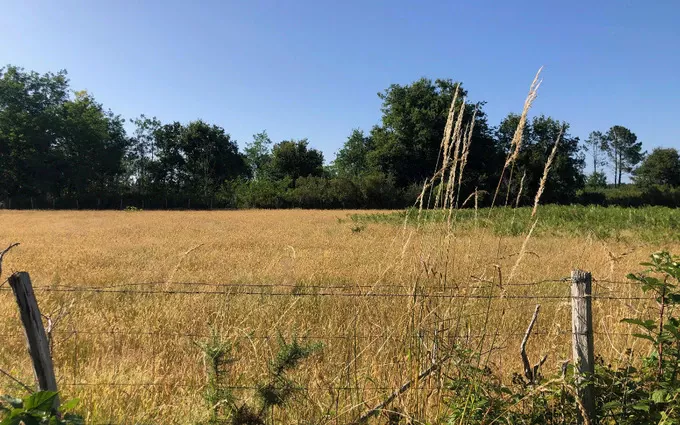 Terrain à partir de 440m² à Saint-Jean-d'Illac à Saint-Jean-d'Illac (33127)