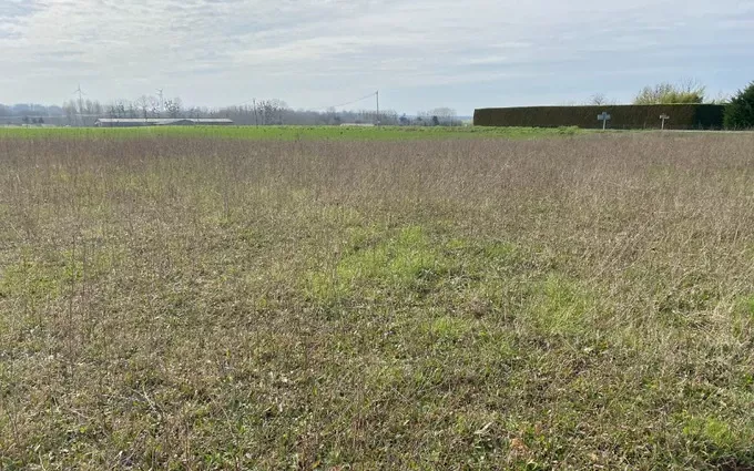Terrain à partir de 543m² à Archingeay à Archingeay
