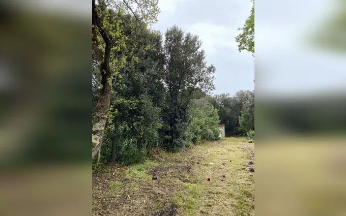 Terrain à partir de 817m² à Saint-Georges-d'Oléron à Saint-Georges-d'Oléron