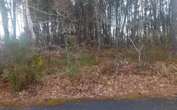 Terrain à partir de 520m² à Arcachon à Arcachon