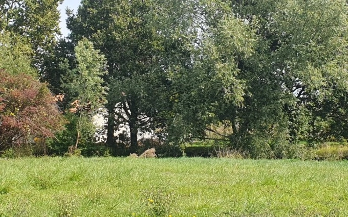 Terrain à partir de 319m² à Saint-André-de-Cubzac à Saint-André-de-Cubzac (33240)