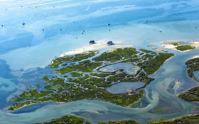 Terrain à partir de 320m² à biganos à Biganos (33380)