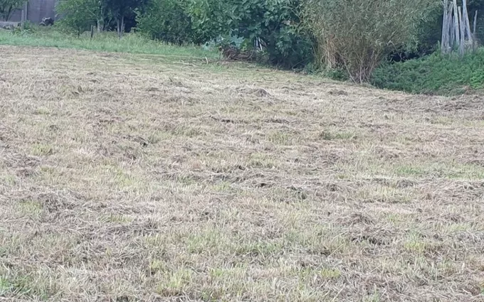 Terrain à partir de 1200m² à Saint-Romain-la-Virvée à Saint-Romain-la-Virvée (33240)