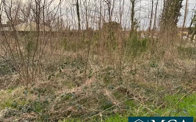 Terrain à partir de 1200m² à Saint-Denis-de-Pile à Saint-Denis-de-Pile (33910)
