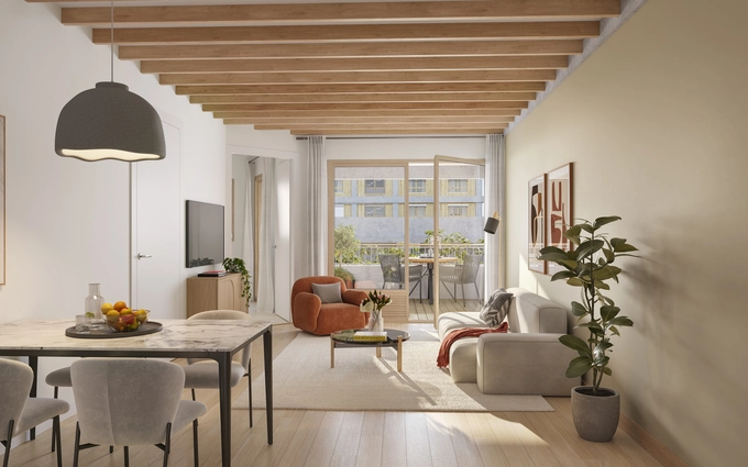 Zéphyr brs à Lyon 2ème