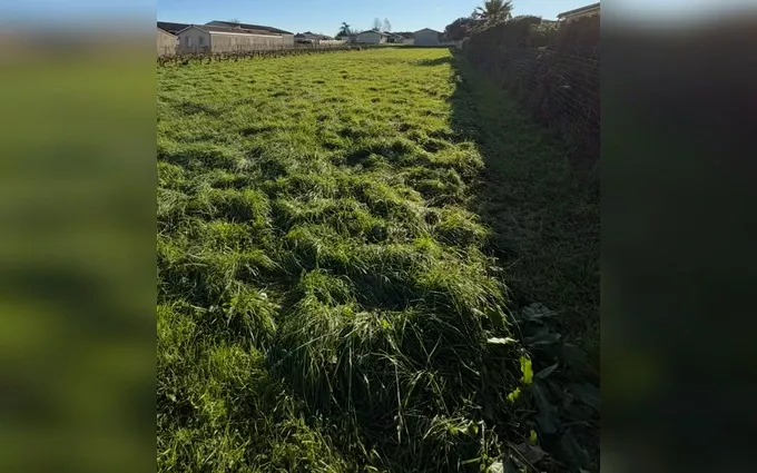 Terrain à partir de 815m² à Saint-Caprais-de-Bordeaux à Saint-Caprais-de-Bordeaux (33880)