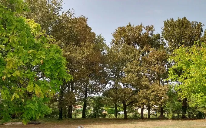 Terrain à partir de 600m² à Saint-Ciers-sur-Gironde à Saint-Ciers-sur-Gironde (33820)
