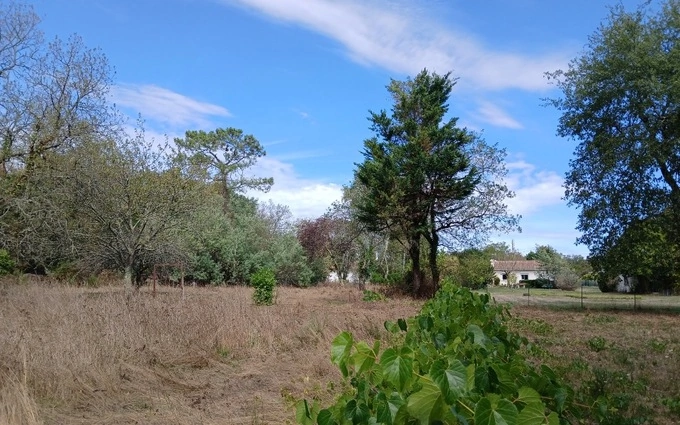 Terrain à partir de 1600m² à Cénac à Cénac (33360)