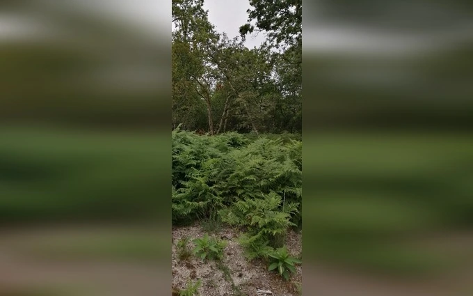 Terrain à partir de 900m² à Saint-Aubin-de-Médoc à Saint-Aubin-de-Médoc