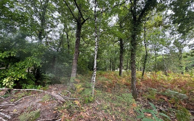Terrain à partir de 2019m² à Grayan-et-l'Hôpital à Grayan-et-l'Hôpital (33590)