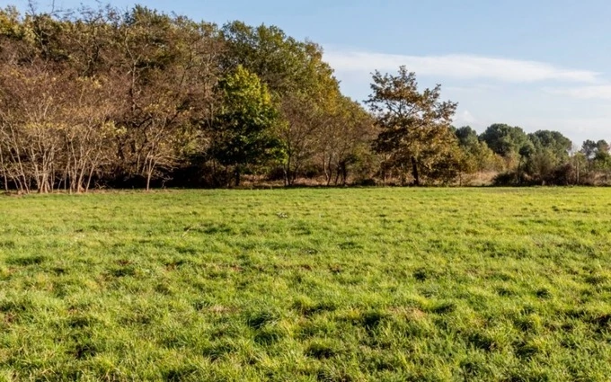 Terrain à partir de 738m² à cocumont à Cocumont (47250)