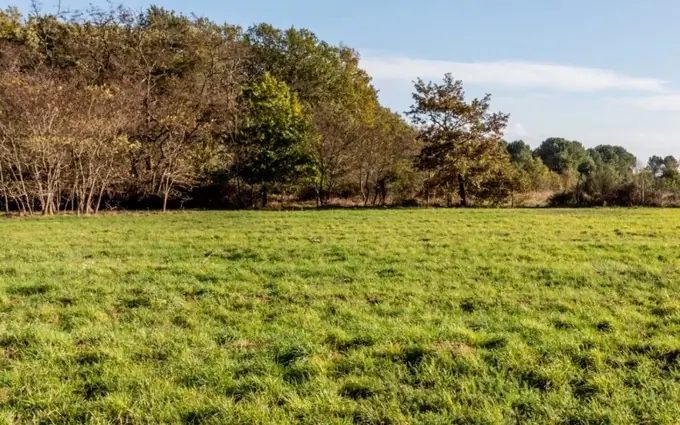 Terrain à partir de 738m² à cocumont à Cocumont (47250)