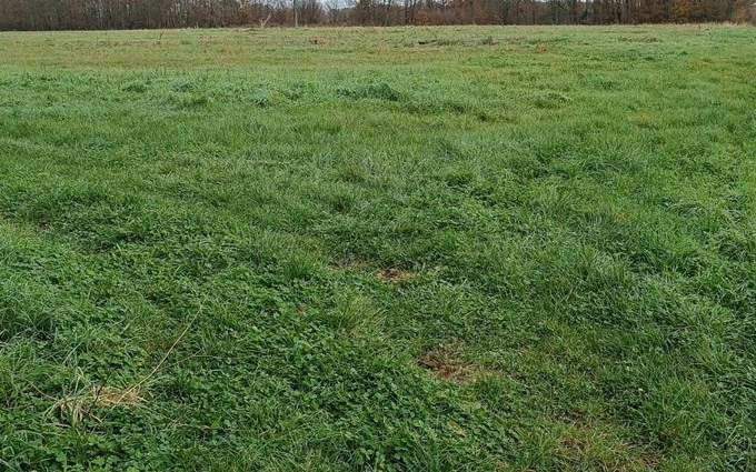 Terrain à partir de 2300m² à Tizac-de-Lapouyade à Tizac-de-Lapouyade (33620)
