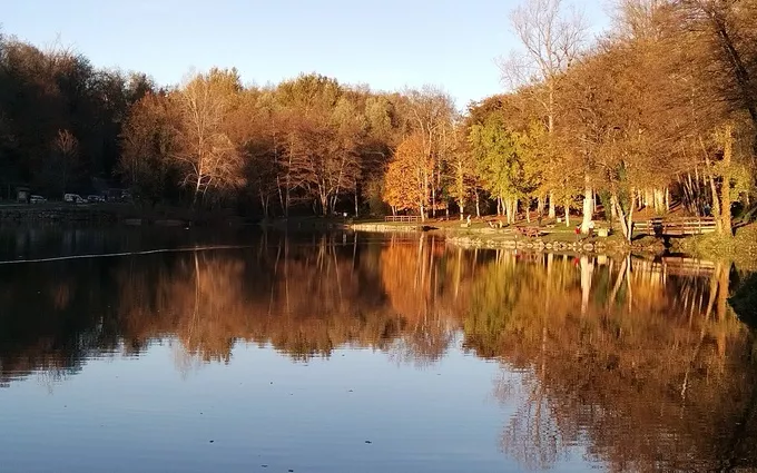LE COLISEE à Ruy