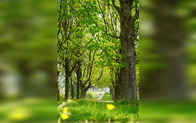 L'Orée de la Massaye à Guichen