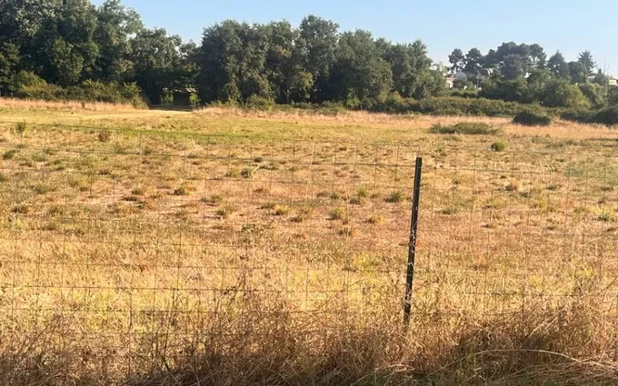 Terrain à partir de 470m² à Martillac à Martillac (33650)