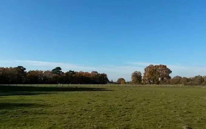 Terrain à partir de 555m² à Pissos à Pissos (40410)
