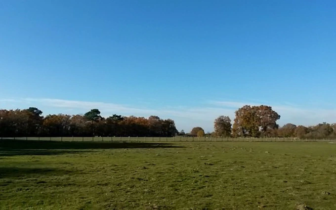 Terrain à partir de 555m² à Pissos à Pissos