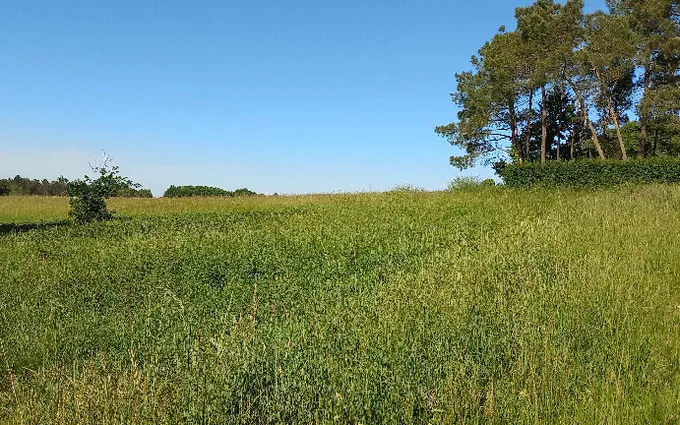 Terrain à partir de 5878m² à Échourgnac à Échourgnac (24410)