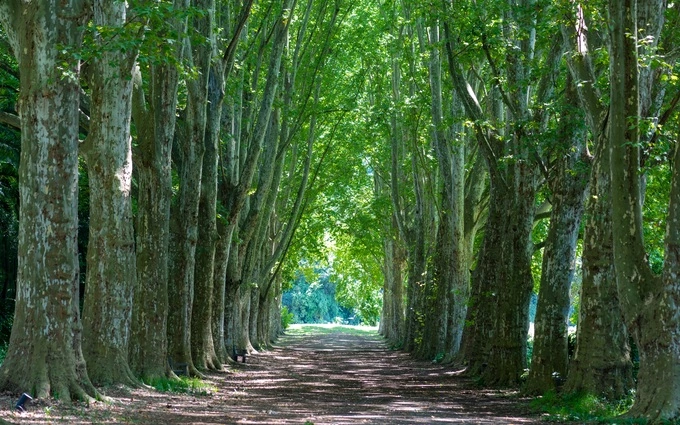 Domaine de Campion à Toulon (83000)