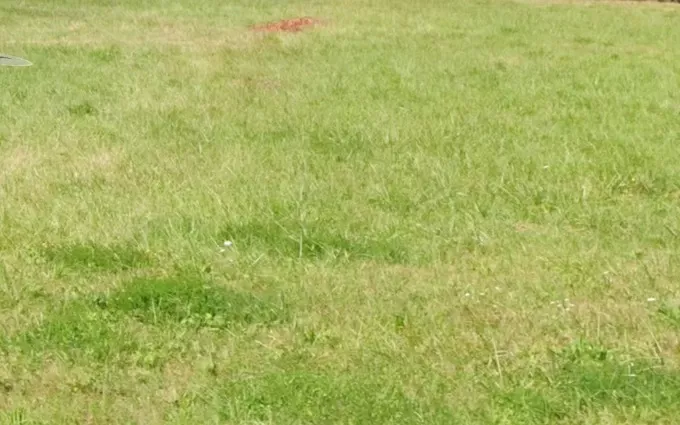 Terrain à partir de 700m² à Carignan-de-Bordeaux à Carignan-de-Bordeaux (33360)