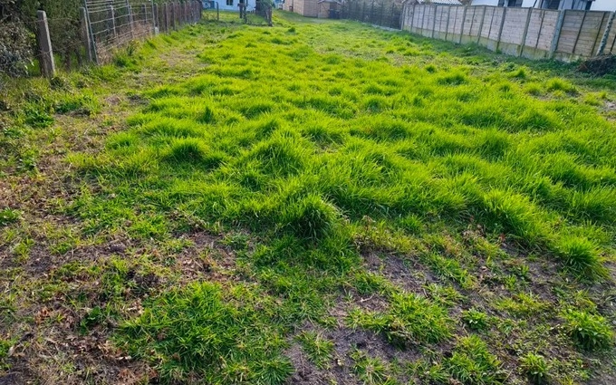 Terrain à partir de 310m² à Le Bouscat à Le Bouscat (33110)