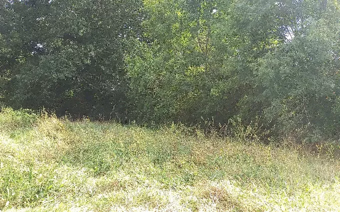 Terrain à partir de 1327m² à Montpon-Ménestérol à Montpon-Ménestérol