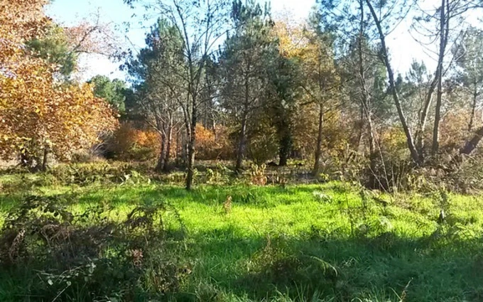 Terrain à partir de 485m² à Sanguinet à Sanguinet (40460)