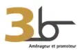 3b